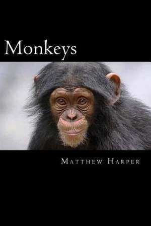 Monkeys de Matthew Harper