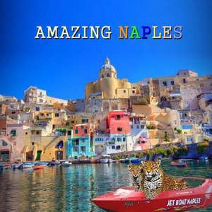 Amazing Naples de Naira R. Matevosyan