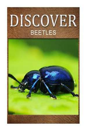 Beetles - Discover de Discover Press