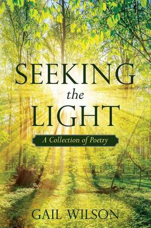 Seeking the Light de Gail Wilson