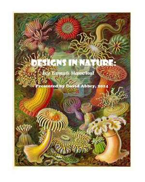 Designs in Nature de David Abbey