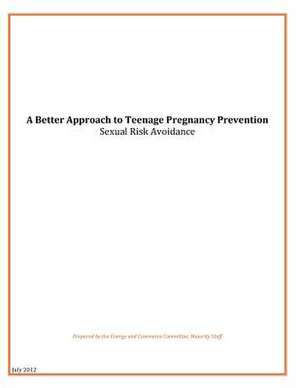 A Better Approach to Teenage Pregnancy Prevention de U. S. House of Representatives Committee