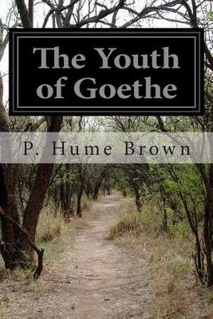 The Youth of Goethe de P. Hume Brown