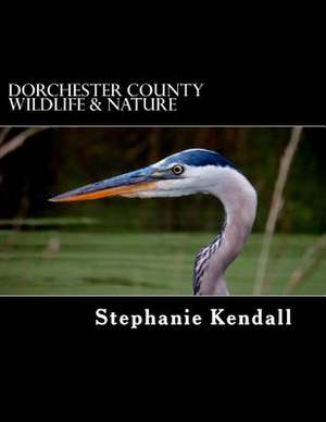 Dorchester County Wildlife & Nature de Stephanie Kendall