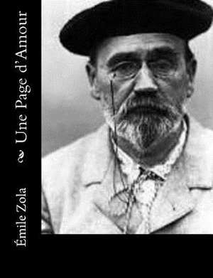 Une Page D'Amour de Emile Zola