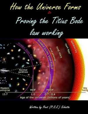 How the Universe Forms de Peet (P S. J. ). Schutte