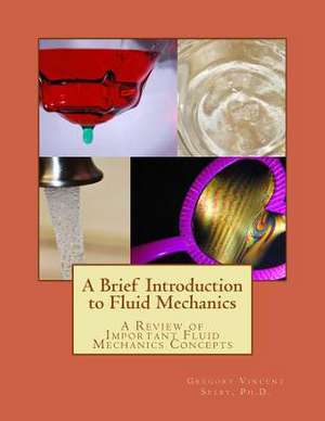 A Brief Introduction to Fluid Mechanics de Dr Gregory Vincent Selby