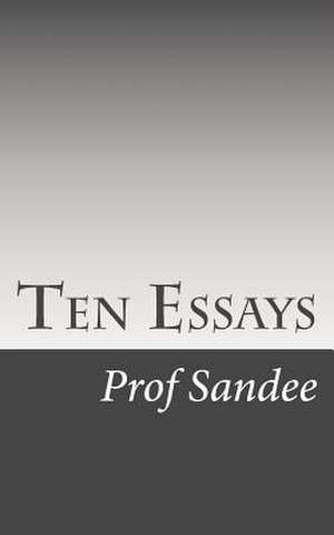 Ten Essays de Prof Sandee