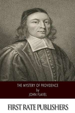 The Mystery of Providence de John Flavel