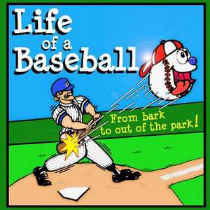 Life of a Baseball de Skye Dickenson