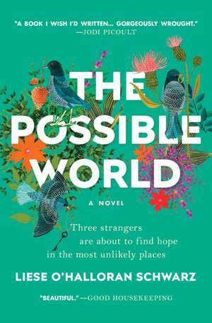 The Possible World de Liese O'Halloran Schwarz