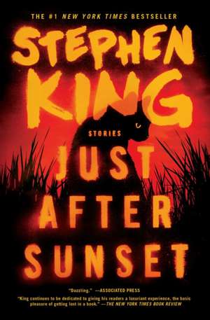 Just After Sunset de Stephen King