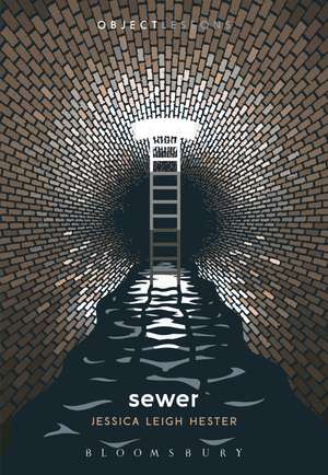 Sewer de Jessica Leigh Hester