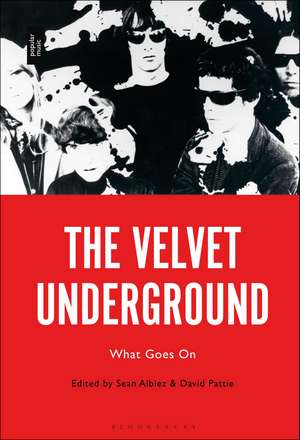 The Velvet Underground: What Goes On de Sean Albiez