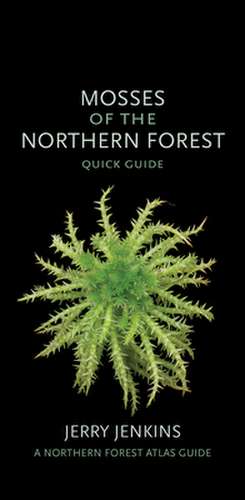 Mosses of the Northern Forest – Quick Guide de Jerry Jenkins