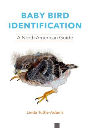 Baby Bird Identification – A North American Guide de Linda Tuttle–adams