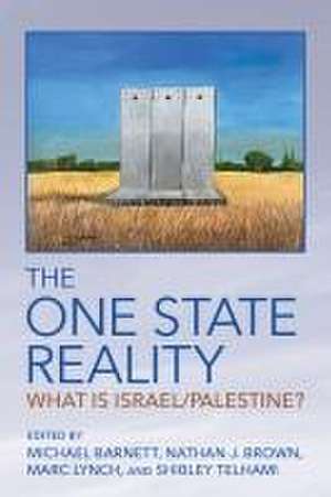 The One State Reality – What Is Israel/Palestine? de Michael Barnett