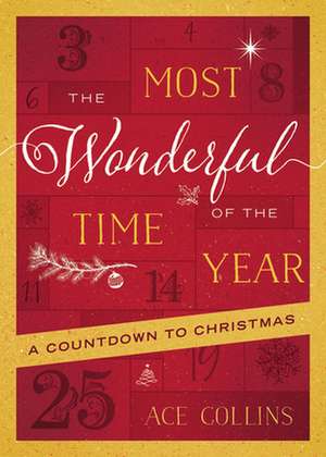 The Most Wonderful Time of the Year de Ace Collins