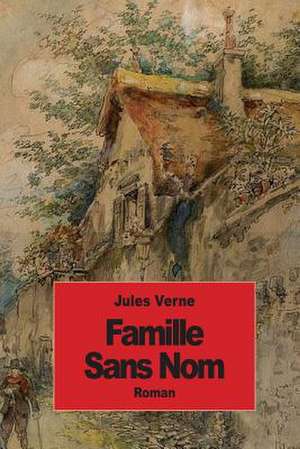 Famille Sans Nom de Jules Verne