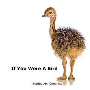 If You Were a Bird de Martha Ann Crimmins