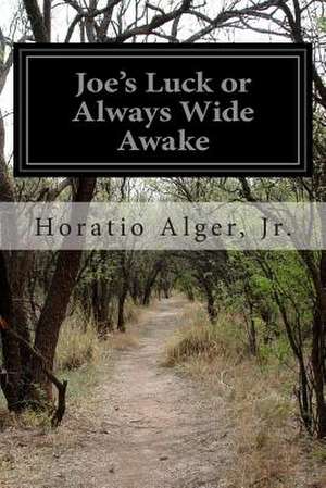 Joe's Luck or Always Wide Awake de Horatio Alger Jr