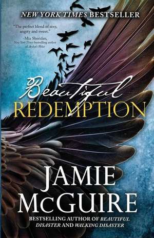 Beautiful Redemption de Jamie McGuire