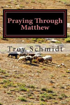 Praying Through Matthew de Troy Schmidt