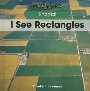 I See Rectangles de Elizabeth Lawrence