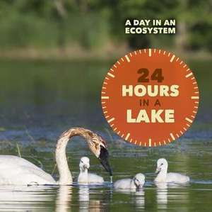 24 Hours in a Lake de Alicia Klepeis