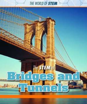 The Stem of Bridges and Tunnels de Kristin Thiel