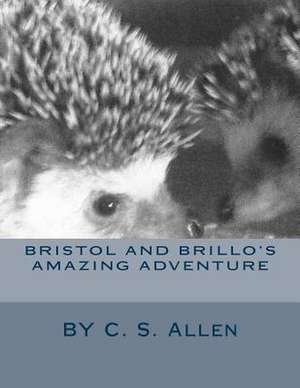 Bristol and Brillo's Amazing Adventure de C. S. Allen