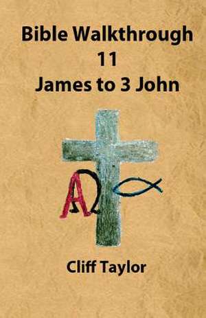 Bible Walkthrough - 11 - James to 3 John de Cliff Taylor