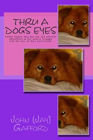 Thru a Dogs Eyes de John (Jay) Gafford