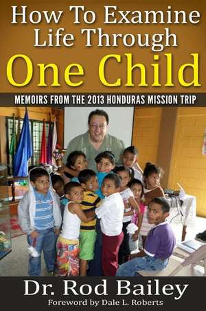 How to Examine Life Through One Child de Dr Rod Bailey