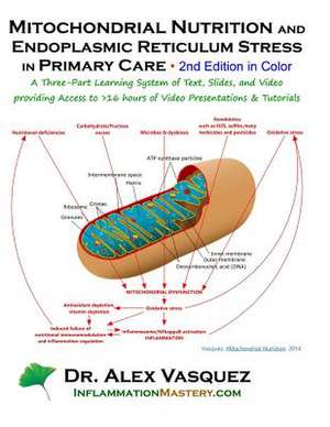 Mitochondrial Nutrition and Endoplasmic Reticulum Stress in Primary Care, Second de Vasquez, Alex