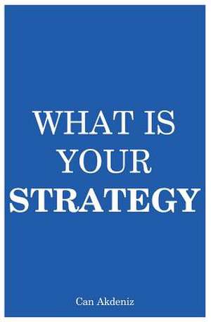 What Is Your Strategy de Can Akdeniz