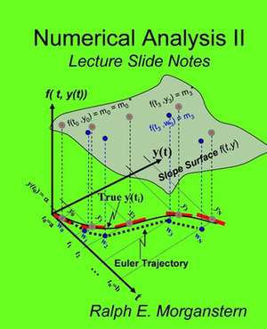 Numerical Analysis II de Ralph E. Morganstern