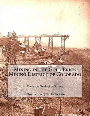 Mining in the Gold Brick Mining District of Colorado de Survey, Colorado Geological