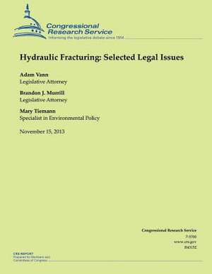 Hydraulic Fracturing de Adam Vann