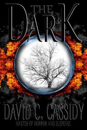 The Dark de David C. Cassidy