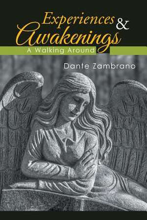 Experiences & Awakenings de Dante Zambrano