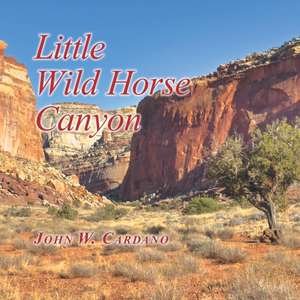 Little Wild Horse Canyon de John W. Cardano