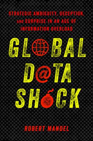 Global Data Shock de Robert Mandel