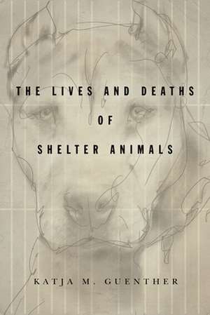 The Lives and Deaths of Shelter Animals – The Lives and Deaths of Shelter Animals de Katja M. Guenther