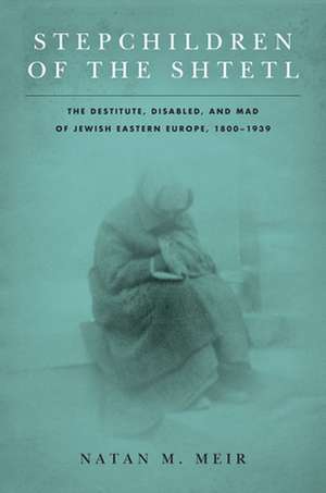 Stepchildren of the Shtetl – The Destitute, Disabled, and Mad of Jewish Eastern Europe, 1800–1939 de Natan M. Meir