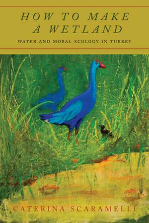 How to Make a Wetland – Water and Moral Ecology in Turkey de Caterina Scaramelli