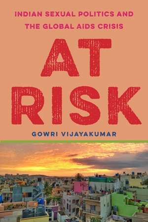 At Risk – Indian Sexual Politics and the Global AIDS Crisis de Gowri Vijayakumar