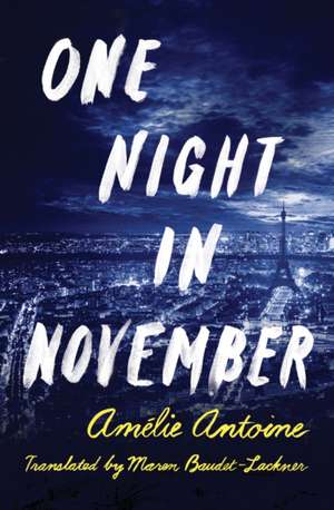 One Night in November de Amelie Antoine