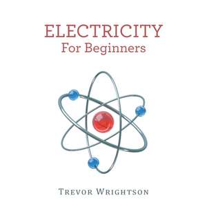 Electricity for Beginners de Trevor Wrightson