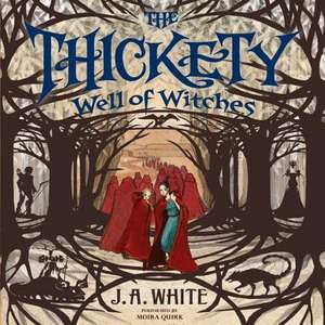 Well of Witches de J. A. White